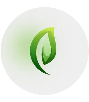 CEO Profile