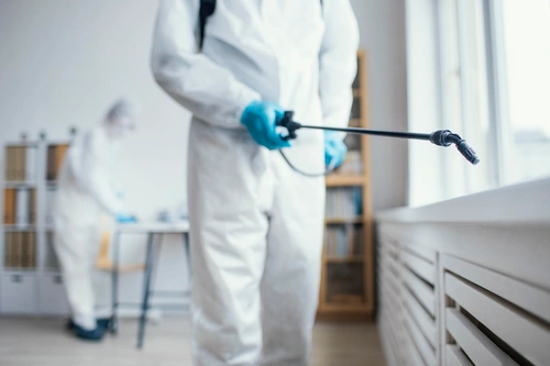 Pest Control Service in Melbourne, Australia